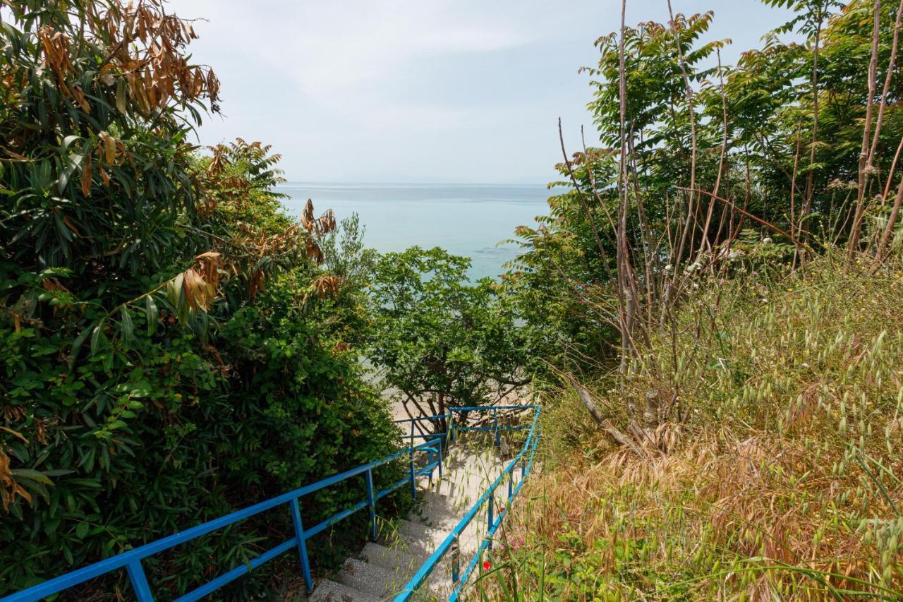 Lofos Apartments In Vergia Halkidiki 소조폴리 외부 사진